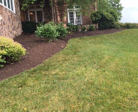 Green lawn with flour beds and brown mulch with shubs planted near the orange brick home